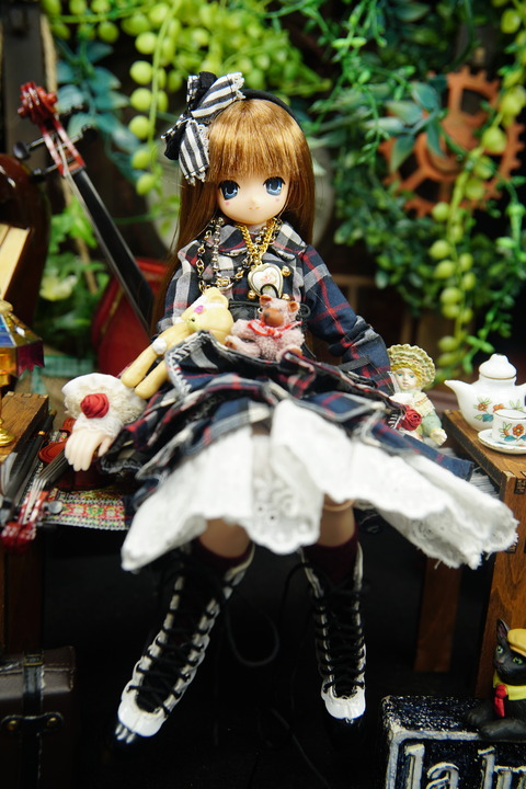 orange_pekoe_7_2020_7_25_DSC04580