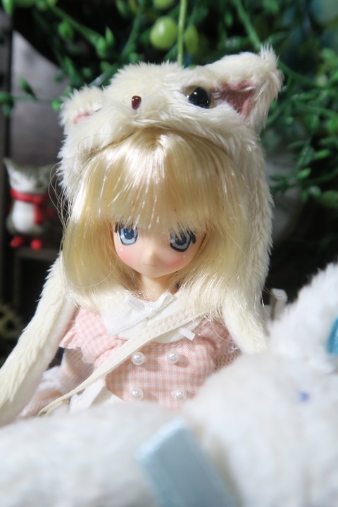 orange_pekoe_2_10_26_IMG_4060