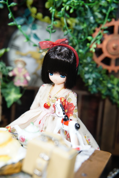 orange_pekoe_7_2020_1_30_DSC05461