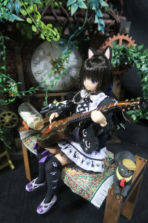 orange_pekoe_6_2020_5_6_IIMG_7780