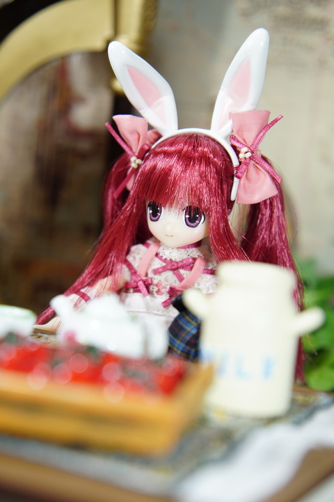 orange_pekoe_6_2018_8_29_DSC07084