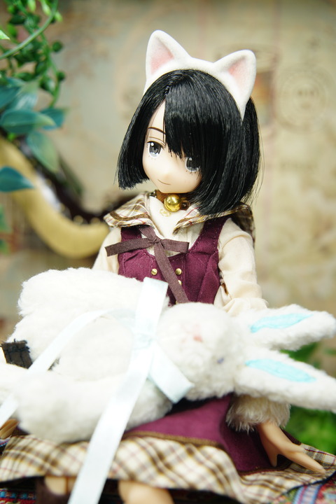 orange_pekoe_4_2020_2_18_DSC01204