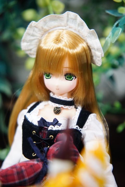orange_pekoe_2_201_7_30_DSC03643