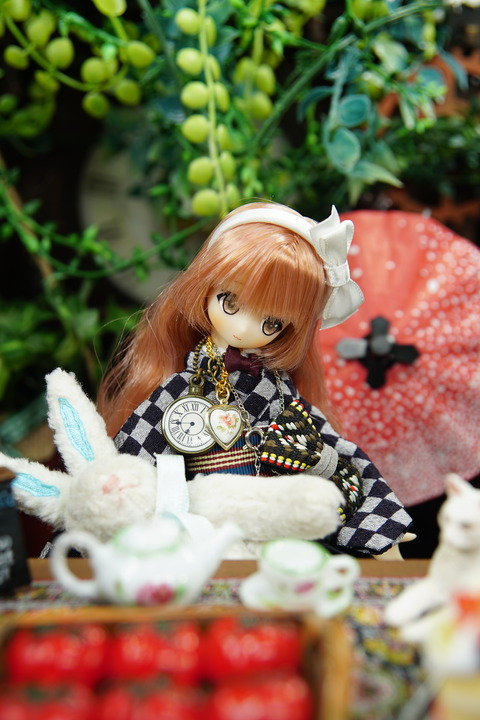 orange_pekoe_3_2020_8_19_DSC01546