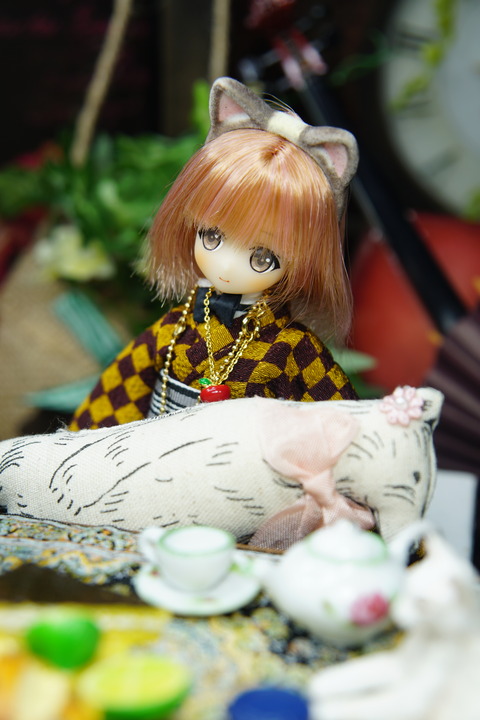 orange_pekoe_6_2020_4_5_DSC04731