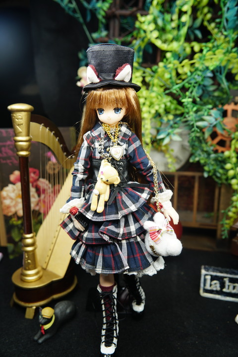 orange_pekoe_8_2020_6_15_DSC04663