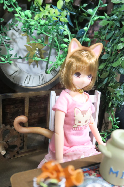 orange_pekoe_6_2017_4_23_IMG_6836