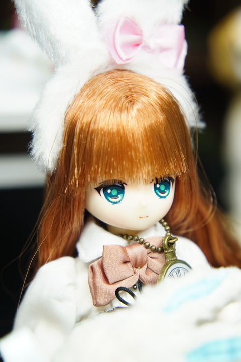 orange_pekoe_2_2019_10_3_DSC09506