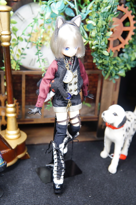 orange_pekoe_8_2019_9_12_DSC08013