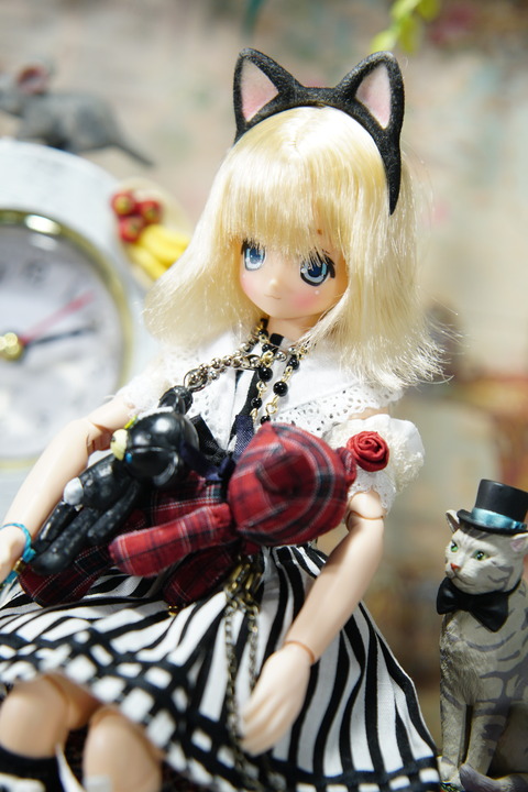 orange_pekoe_7_2019_5_11_DSC06017