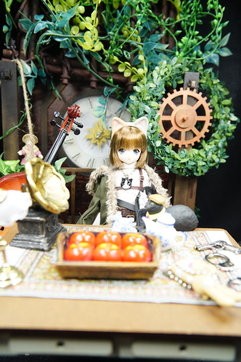 orange_pekoe_8_2019_7_12_DSC06115