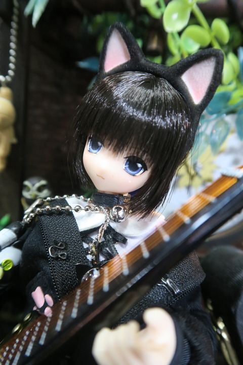 orange_pekoe_8_2020_5_6_IIMG_7836