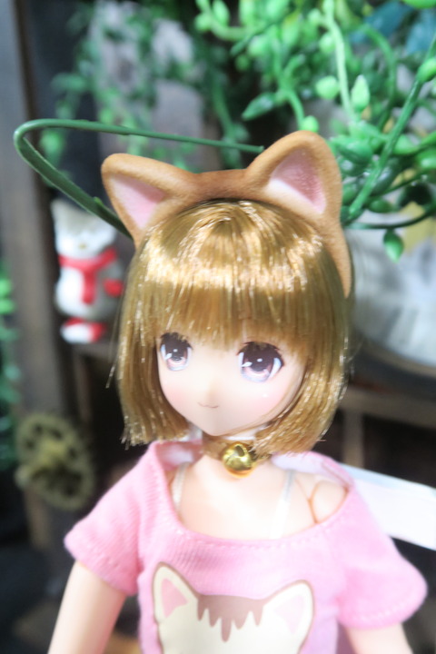 orange_pekoe_2_2017_4_25_IMG_6821