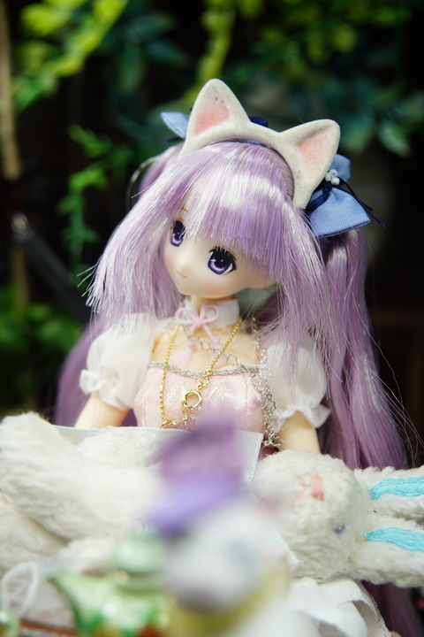 orange_pekoe_3_2020_4_19_DSC06834