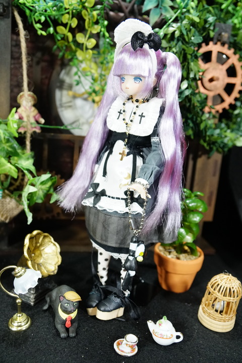 orange_pekoe_5_2020_3_27_IDSC01709