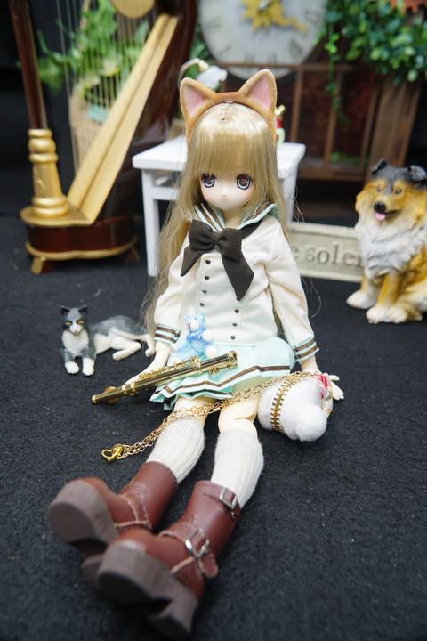 orange_pekoe_5_2019_10_30_DSC01291