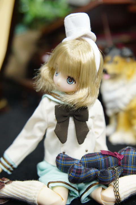 orange_pekoe_3_2019_11_23_DSC01669