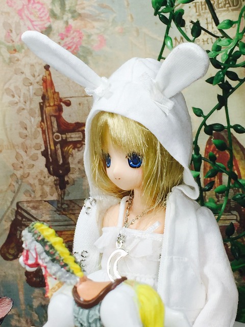 orange_pekoe_8_2018_5_27_IMG_0146