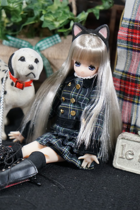 orange_pekoe_5_2018_5_29_DSC00892