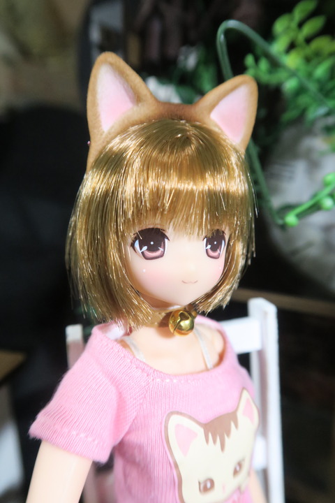 orange_pekoe_2_2017_4_23_IMG_6858