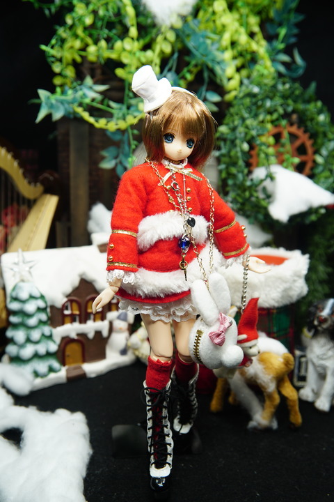 orange_pekoe_8_2019_12_25_DSC06299