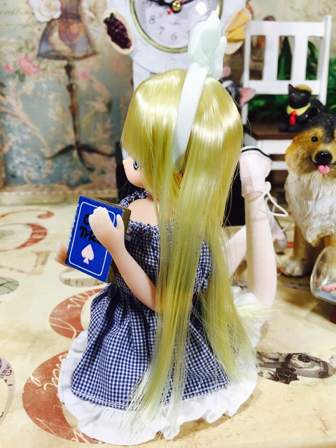 orange_pekoe_7_2020_3_18_IMG_6120