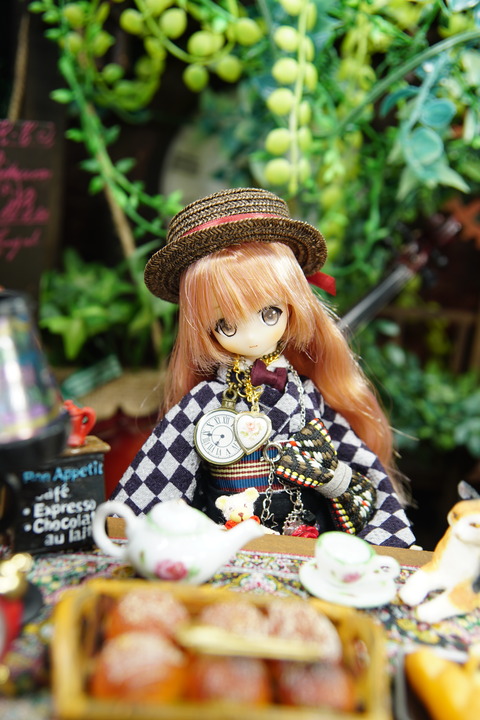 orange_pekoe_8_2020_8_19_DSC01473