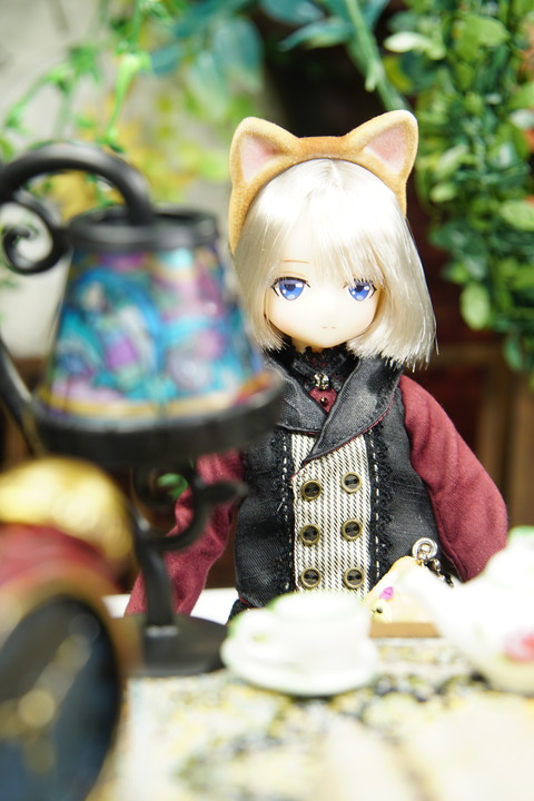 orange_pekoe_4_2020_4_21_DSC07661