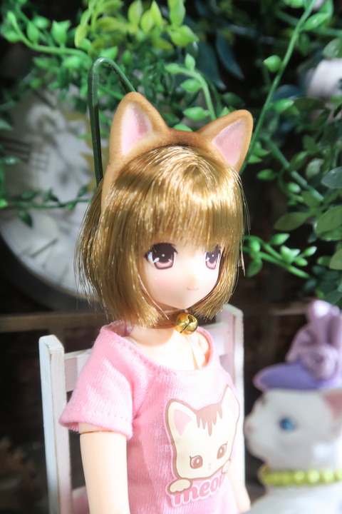 orange_pekoe_3_2017_4_25_IMG_6847