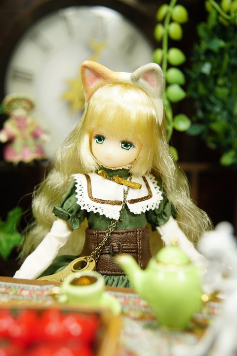 orange_pekoe_7_2019_8_21_DSC09890
