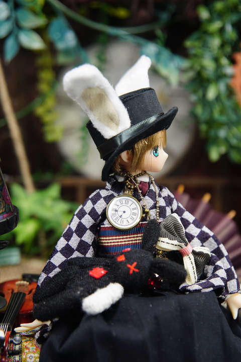 orange_pekoe_5_2019_12_12_DSC02834