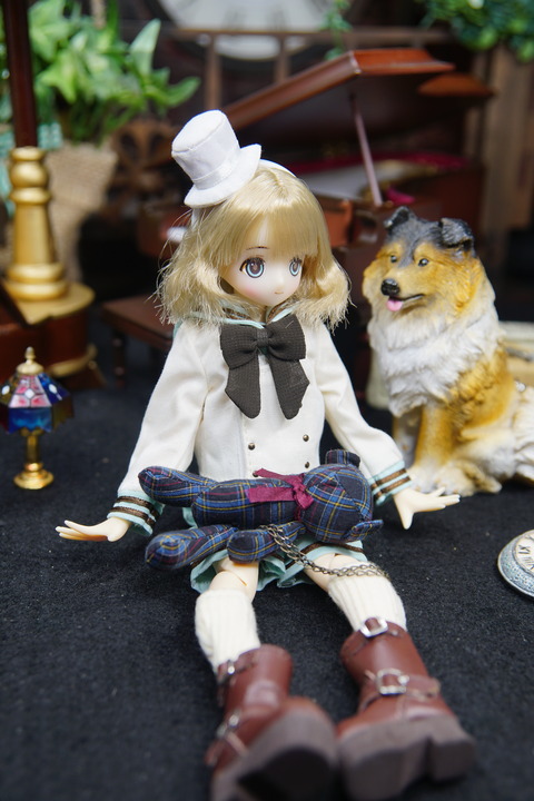 orange_pekoe_6_2019_11_23_DSC01677