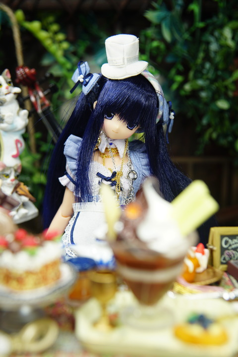 orange_pekoe_8_2020_2_2_DSC05188