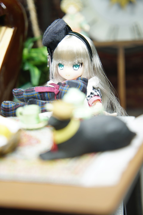 orange_pekoe_3_2020_4_9_DSC09012