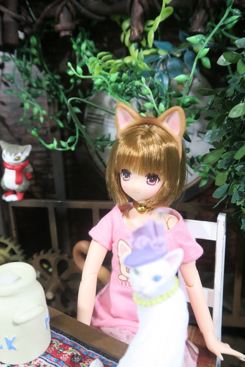 orange_pekoe_4_2017_4_25_IMG_6842