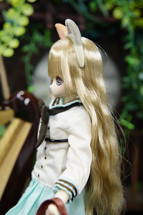 orange_pekoe_5_2019_11_5_DSC01448