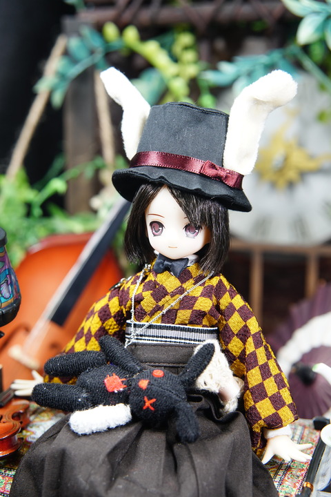 orange_pekoe_8_2019_11_16_DSC07151
