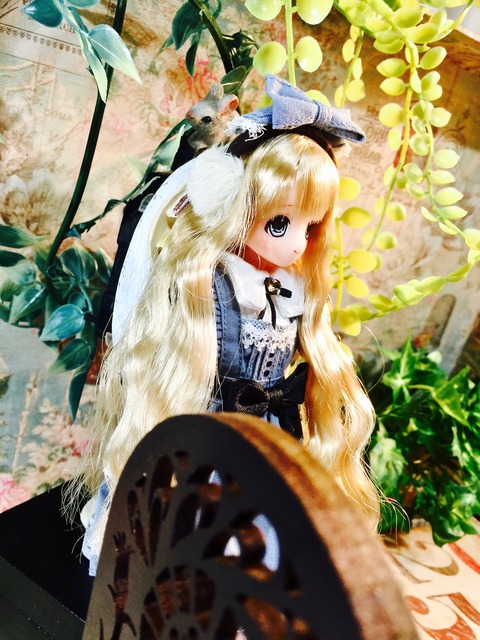 orange_pekoe_7_2019_10_14_IMG_1894