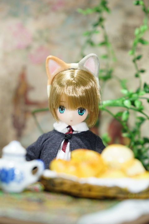 orange_pekoe_7_2020_3_26_DSC02925