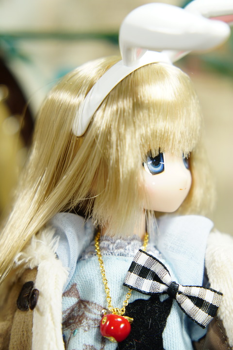 orange_pekoe_5_2018_7_27_DSC06591