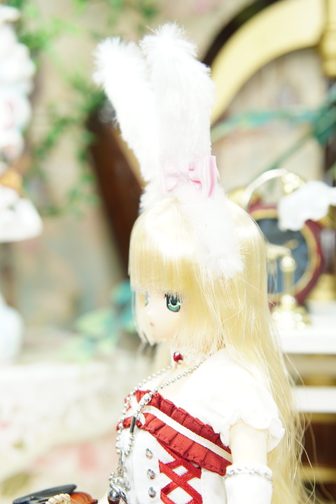 orange_pekoe_6_2019_7_16_DSC06588