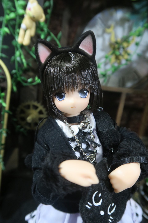 orange_pekoe_3_2020_5_6_IIMG_7754