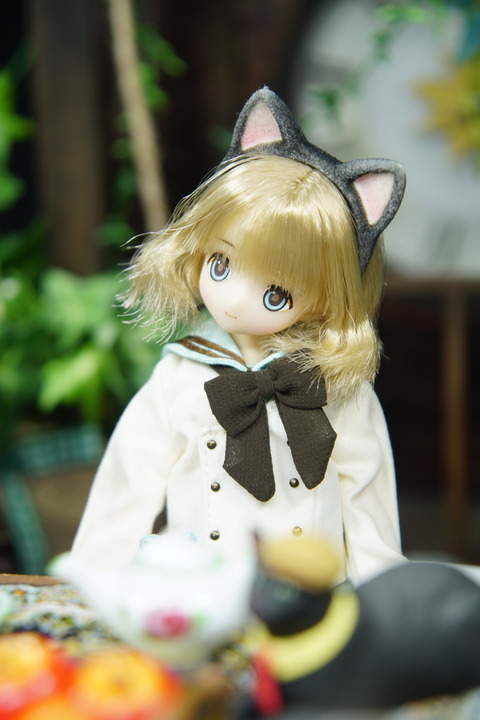orange_pekoe_4_2021_6_15_DSC01556