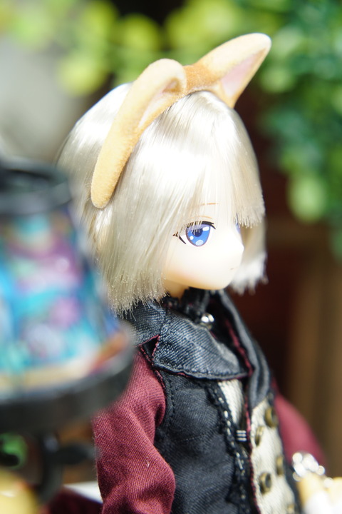 orange_pekoe_6_2019_9_8_DSC07691