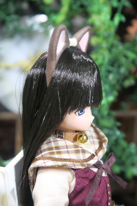 orange_pekoe_3_2019_7_30_IMG_1150