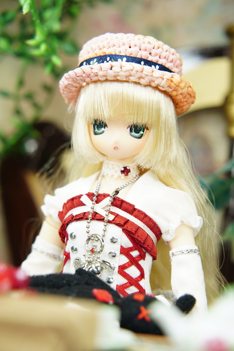 orange_pekoe_4_2019_7_16_DSC06558