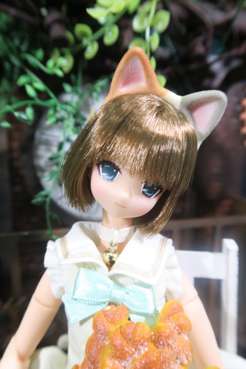 orange_pekoe_6_2017_8_12_IMG_8230