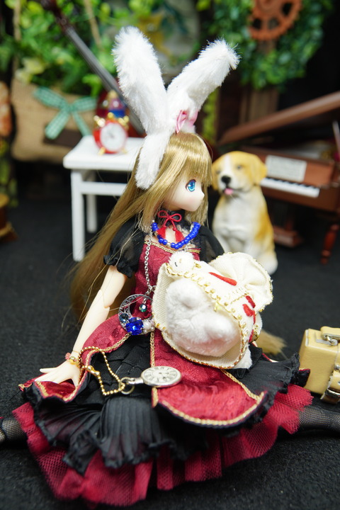 orange_pekoe_2_2020_6_8_DSC08033