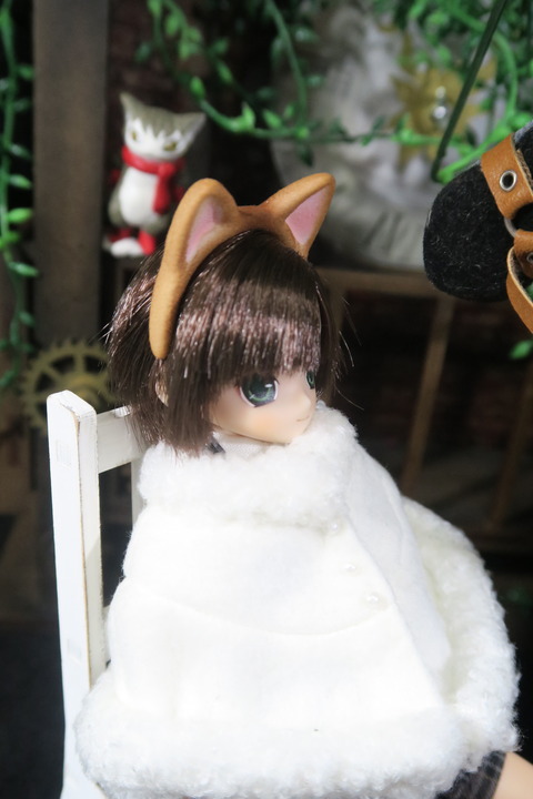 orange_pekoe_2_2017_4_26_IMG_6969