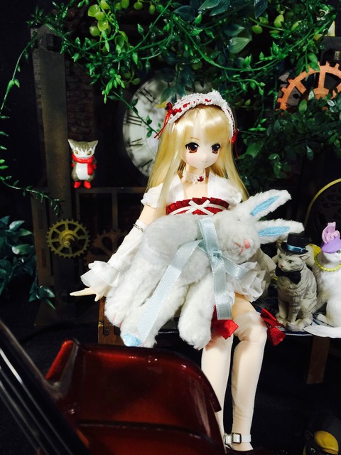 orange_pekoe_3_2016_10_21_IMG_9397